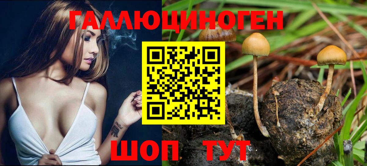 Псилоцибиновые грибы Psilocybe  Псилоцибиновые грибы MAGIC MUSHROOMS  Вход с VPN  Кизляр 